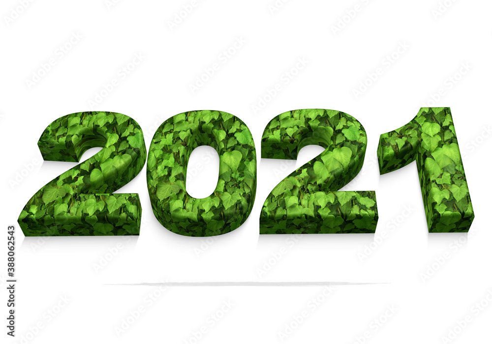 2021 feuilles 3D 2021 feuilles 3D