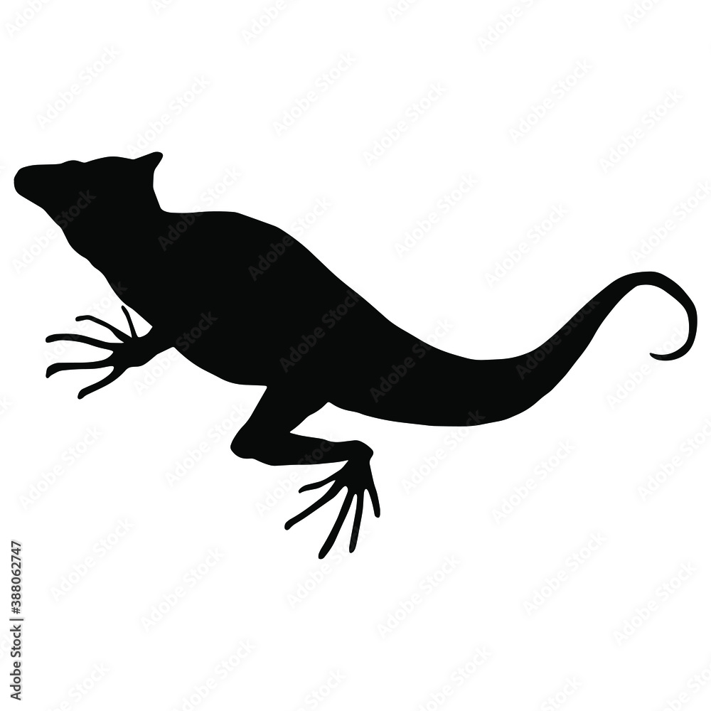 Hand drawn vector silhouette of  basilisk isolated on white background. Black and white  stock illustration of lizard.