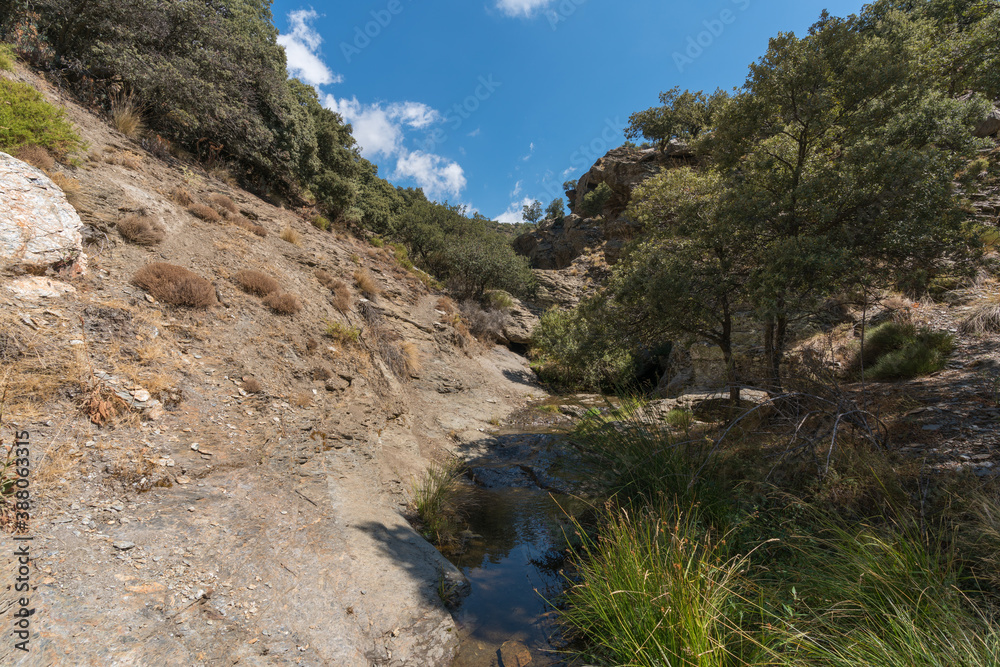 Water in a ravine in Sierra Nevada