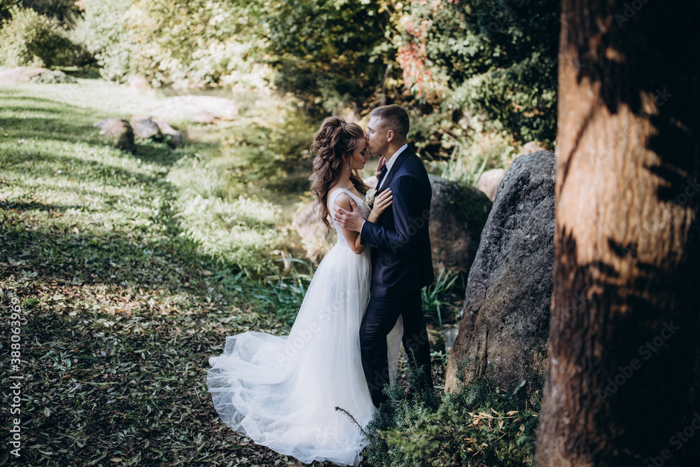 Photo session of the newlyweds against the backdrop of a picturesque area. Forest and rocks. Photo session of the newlyweds against the backdrop of a picturesque area. Forest and rocks.