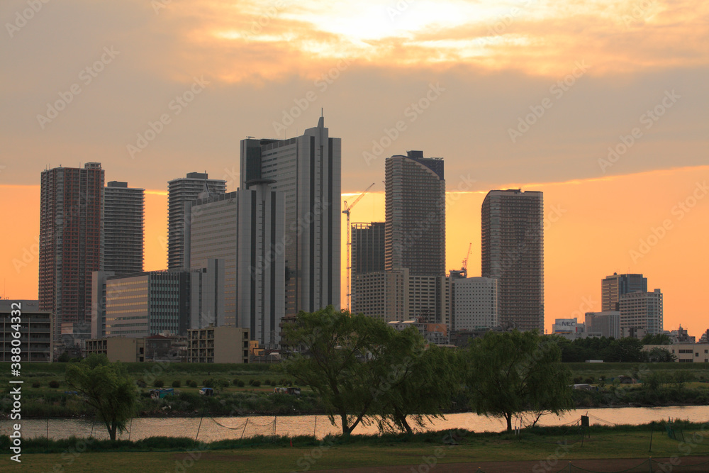 Fototapeta premium 武蔵小杉の再開発の夕景