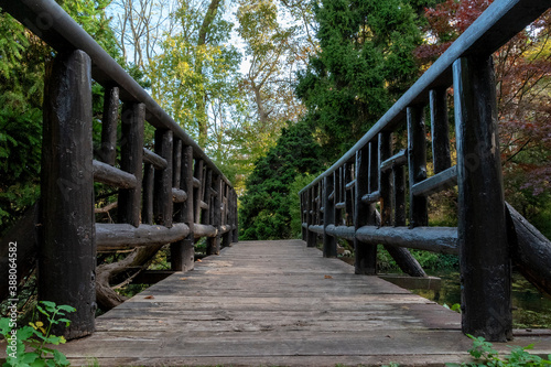 Fototapeta Naklejka Na Ścianę i Meble -  A footbridge crosses a small stream, surrounded by lush green and colourful vegetation in James Gardens in Toronto (Etobicoke), Ontario on a bright autumn day.
