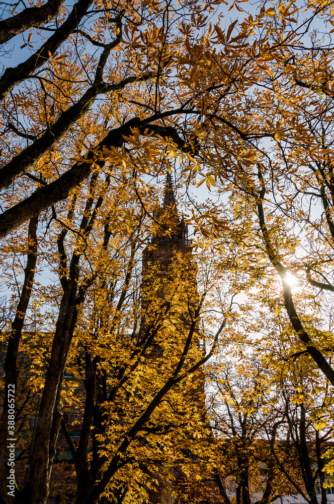 Basel, Münster, Pfalz, Münsterplatz, Stadt, Altstadt, Kirche, Grossbasel, Kirchturm, Kreuzgang, Herbst, Rhein, Basel-Stadt, Schweiz Basel, Münster, Pfalz, Münsterplatz, Stadt, Altstadt, Kirche, Grossbasel, Kirchturm, Kreuzgang, Herbst, Rhein, Basel-Stadt, Schweiz