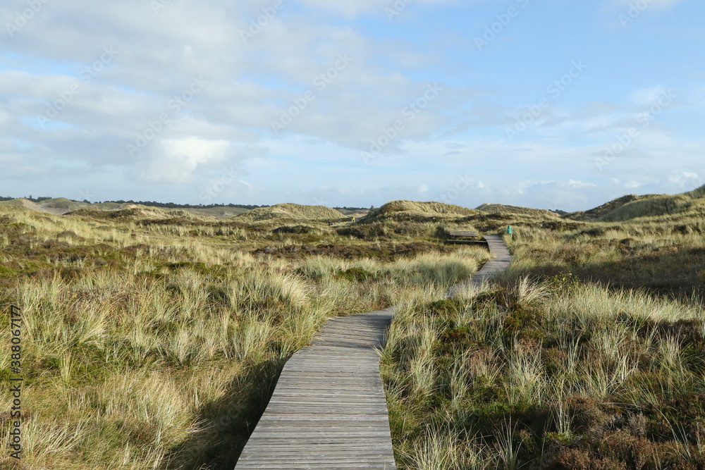 Wooden blanks path, Isle of Amrum, North Frisian islands, Schleswig-Holstein, Germany