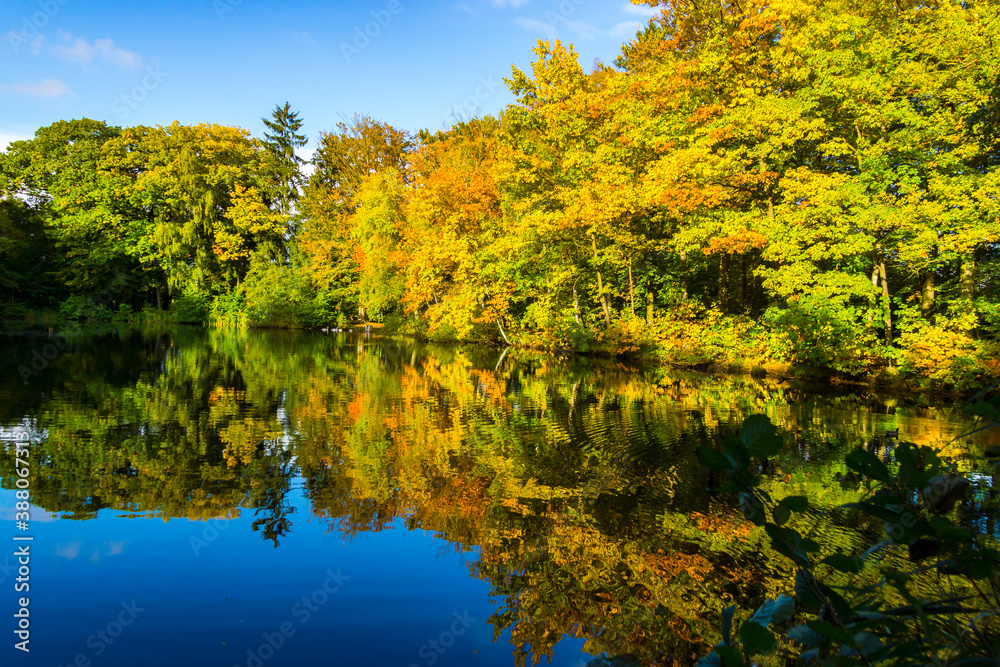 Herbst am See Herbst am See