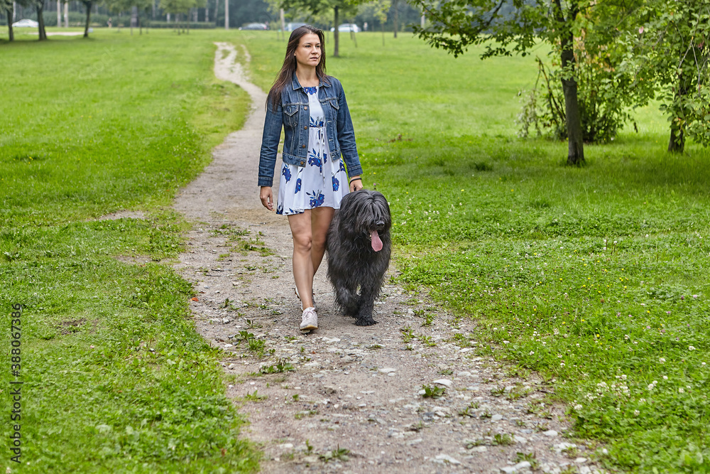 Briard and woman are walking in patk at summer. Briard and woman are walking in patk at summer.