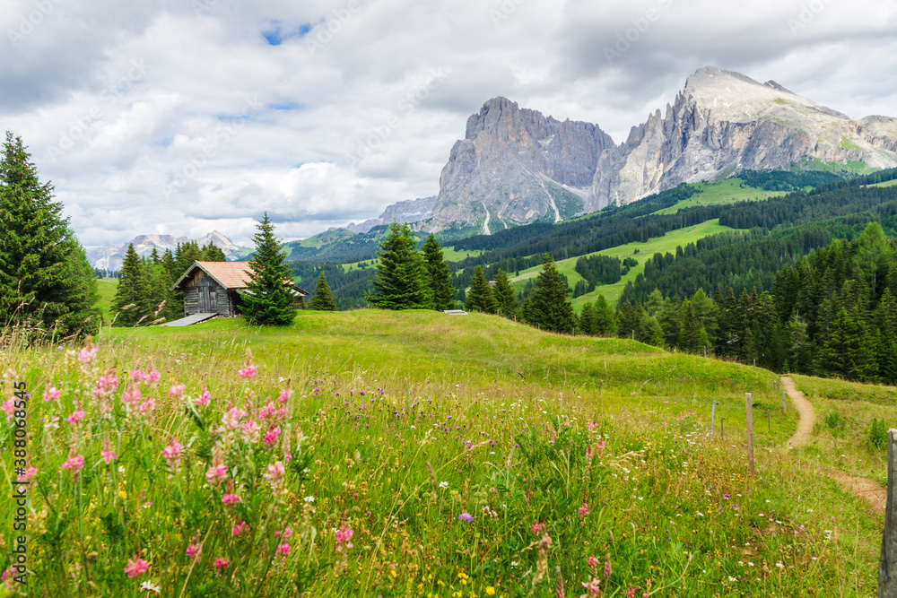 wooden hut /cottage and flowers, Alpe di Siusi, Dolomites, South Tyrol, Italy
