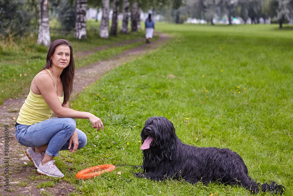 Briard has rest in park while walking. Briard has rest in park while walking.