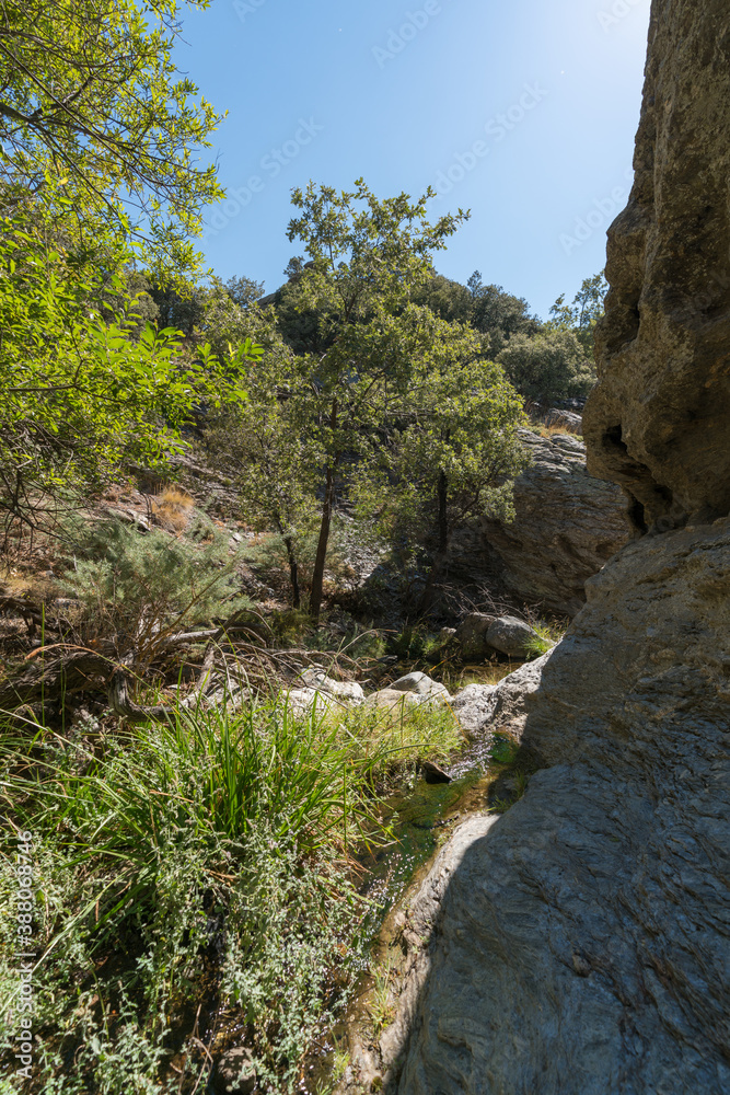 Obraz premium Ravine going through a rocky area in Sierra Nevada