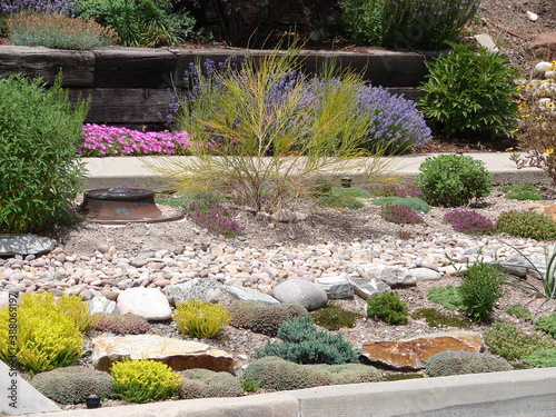 Bild auf Leinwand xeriscape garden landscape with rocks and heat tolerant plants; colorful and bea