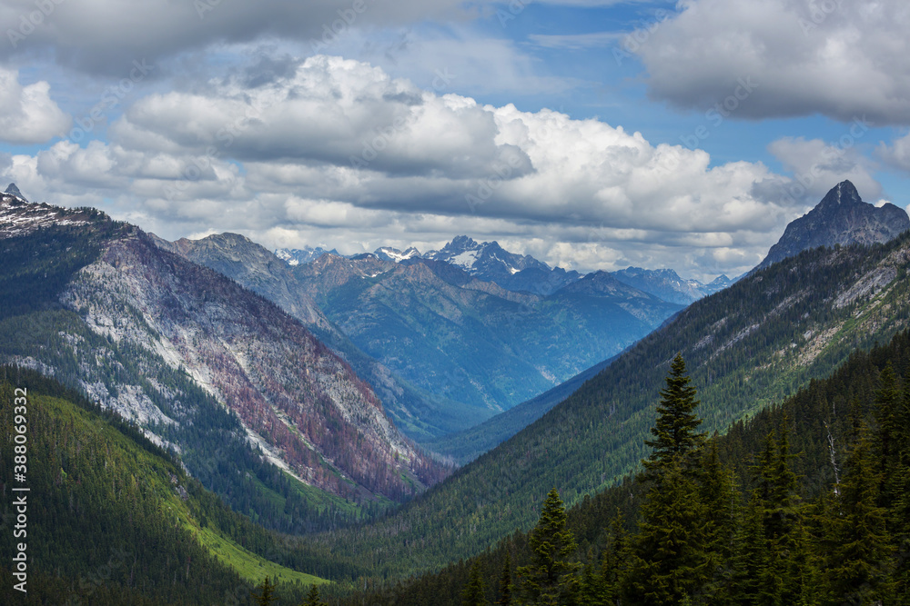 Obraz premium Mountains in Washington