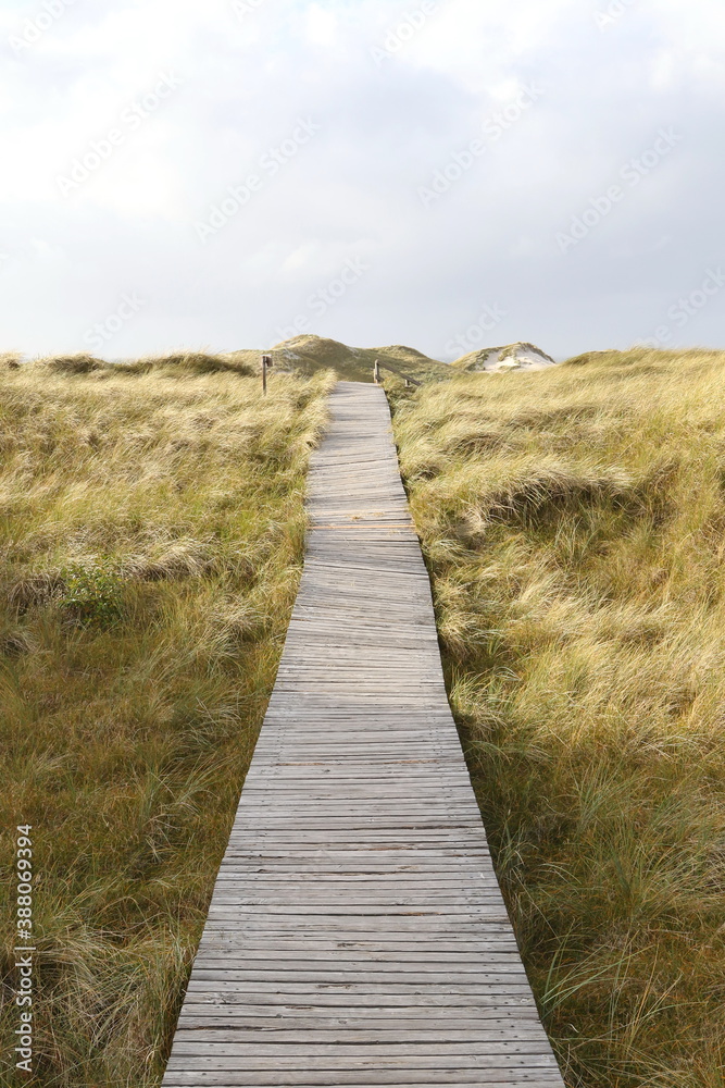 Wooden blanks path, Isle of Amrum, North Frisian islands, Schleswig-Holstein, Germany