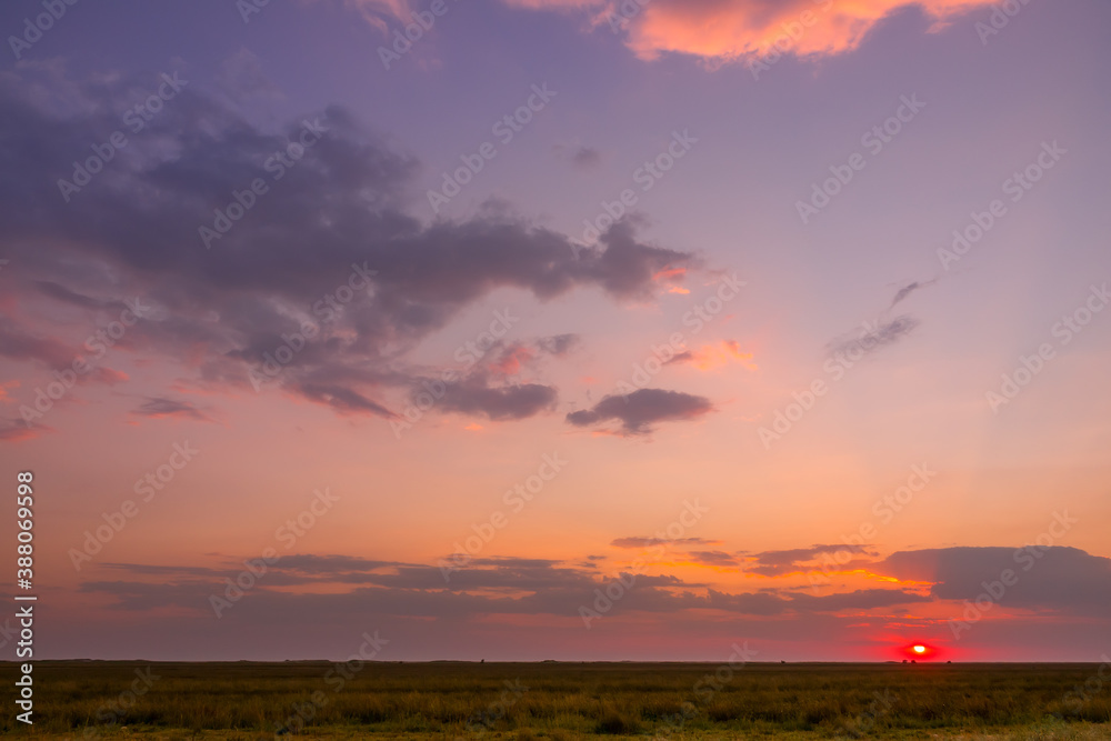 Colorful Sunset over the Summer Steppe Plain