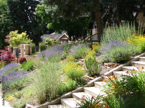 xeriscape garden with flowers and foliage and stairs photo