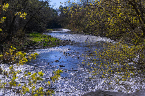 The Etobicoke Creek winds its way through the forest at Marie Curtis Park in Toronto (Etobicoke), Ontario on a bright sunny spring day. photo