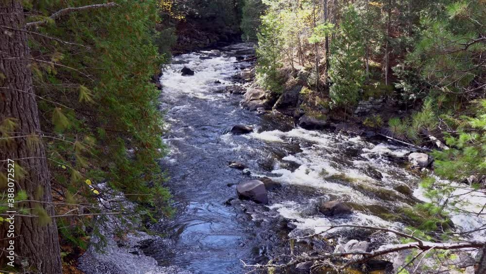 A cliff top view of rapids winding through a narrow gorge surrounded by forest.