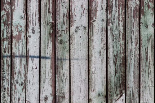 Wallpaper Mural Background and texture of old wooden fence with faded green paint Torontodigital.ca