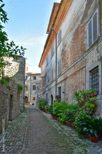 Fototapeta Naklejka Na Ścianę i Meble -  A narrow street among the old stone houses of Castro dei Volsci, a medieval village in the province of Frosinone in Italy.