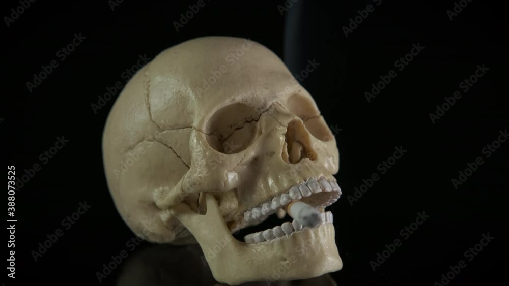 Toxic smoking skull. Skull with a cigarette on a black background. Toxic smoking skull. Skull with a cigarette on a black background.