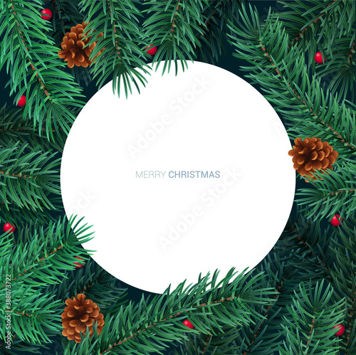 Winter holiday background with blank white card and border frame of Christmas tree branches and berries. Vector template for New year card, banner, party poster and landing header.