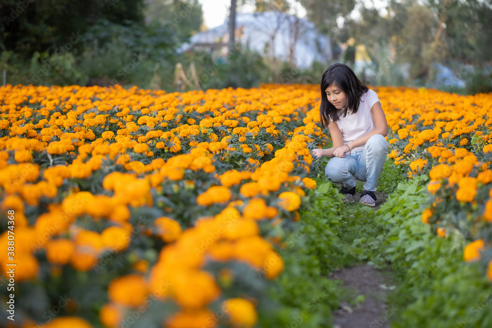 Mexican girl smiling and watching cempasúchil flowers on the field in Xochimilco Mexican girl smiling and watching cempasúchil flowers on the field in Xochimilco