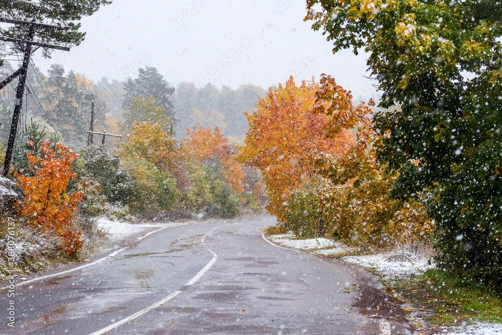 The first snow in Karelia The first snow in Karelia