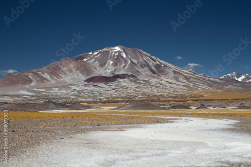 Volcanic landscape in the Andes mountain range. View of Volcano Incahuasi, the golden meadow and natural salt flat high in the cordillera in summer. © Gonzalo