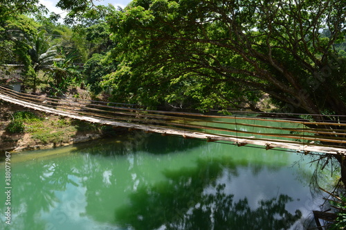 The stunning flora and fauna of the beaches and Chocolate Hills around Bohol Island in the Philippines photo