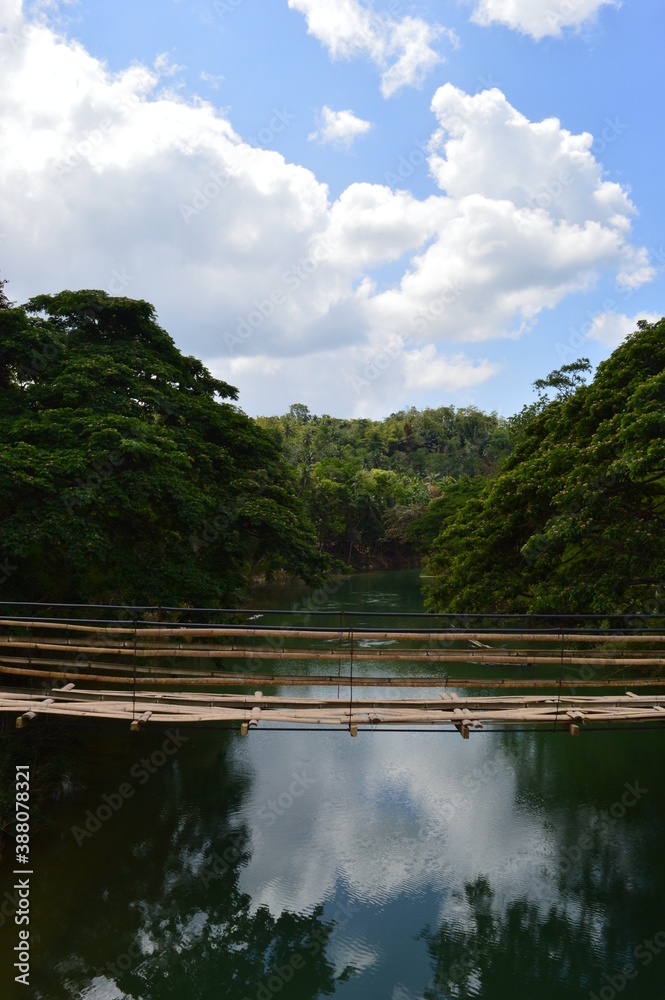 Fototapeta premium The stunning flora and fauna of the beaches and Chocolate Hills around Bohol Island in the Philippines