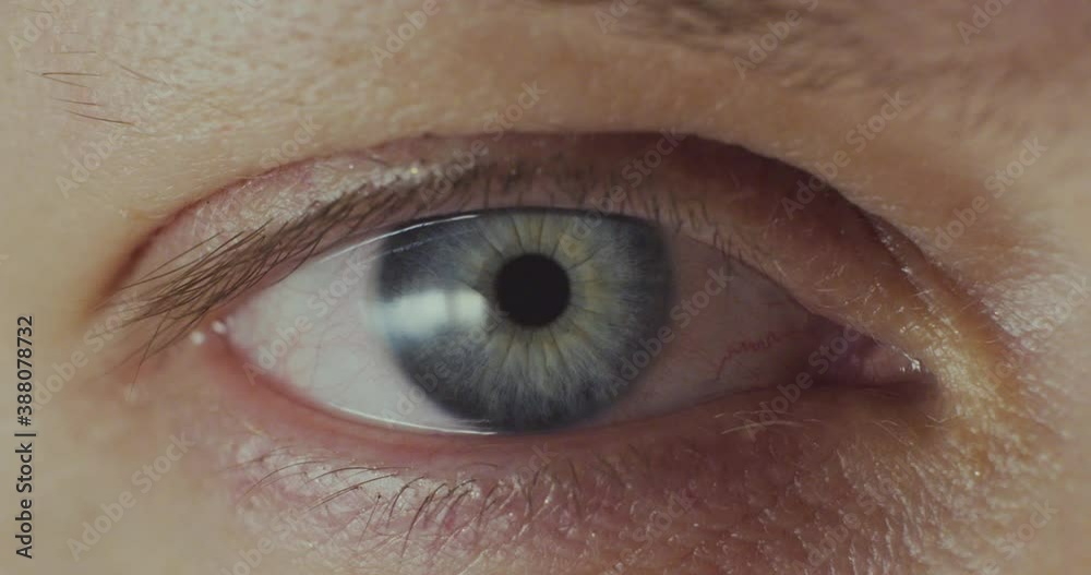 Beautiful female eye close-up, woman opens blue eye. Natural beauty of female eyes. Beautiful female eye close-up, woman opens blue eye. Natural beauty of female eyes.