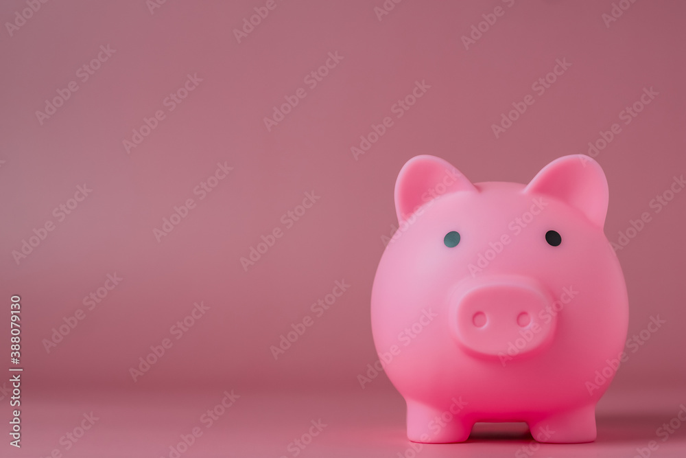 pink piggy bank on pink color background