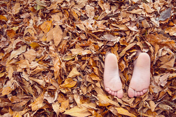 Barefoot child's feet buried in a pile of fall leaves