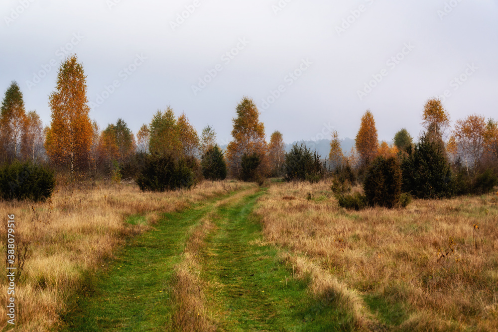 Jesienne krajobrazy Podlasia, Polska Jesienne krajobrazy Podlasia, Polska