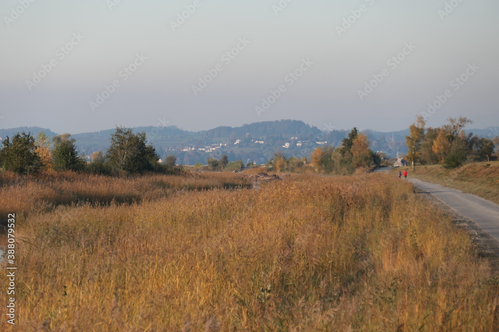 Fototapeta premium autumn landscape with mountains