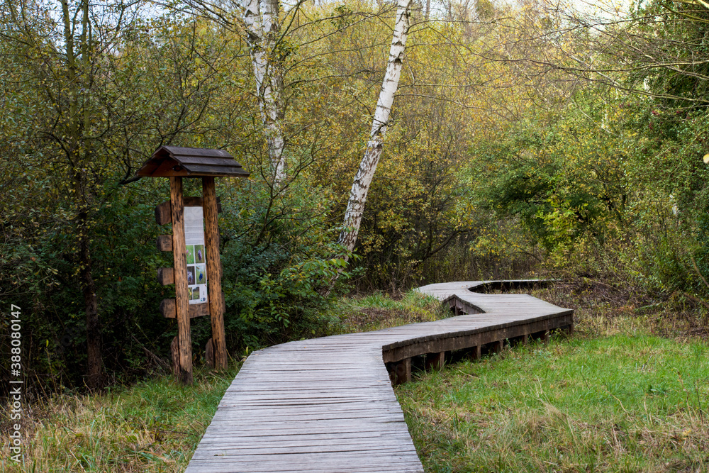 A touristic trail near Warsaw, Poland. A wooden path leads through a meadow into the forest.