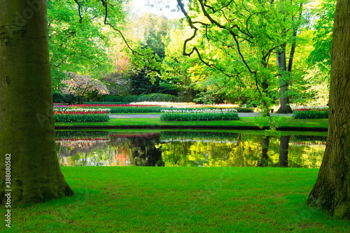 Fototapeta Naklejka Na Ścianę i Meble -  spring pond in park