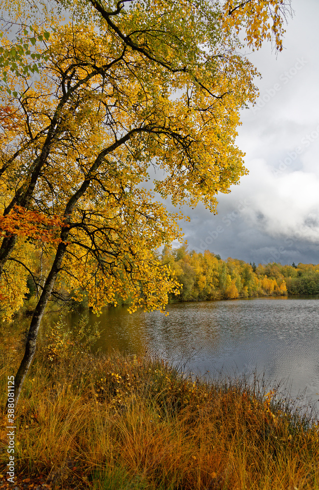 l'automne aux mille étangs l'automne aux mille étangs