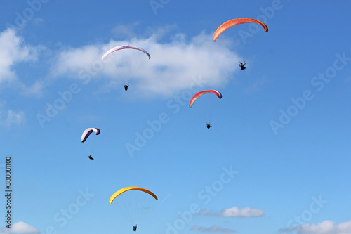 Paragliders flying wing in a blue sky