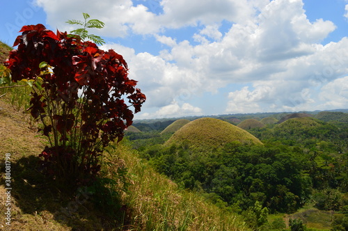 Hiking on the Taal Volcano island and on the Chocolate Hills of Bohol in the Philippines photo