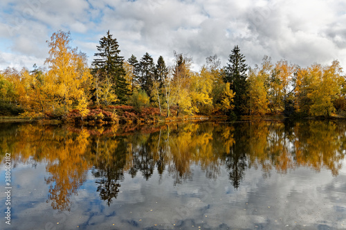 l'automne  aux mille étangs © Olympixel