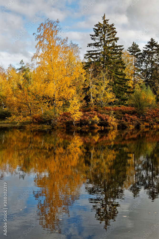 l'automne  aux mille étangs