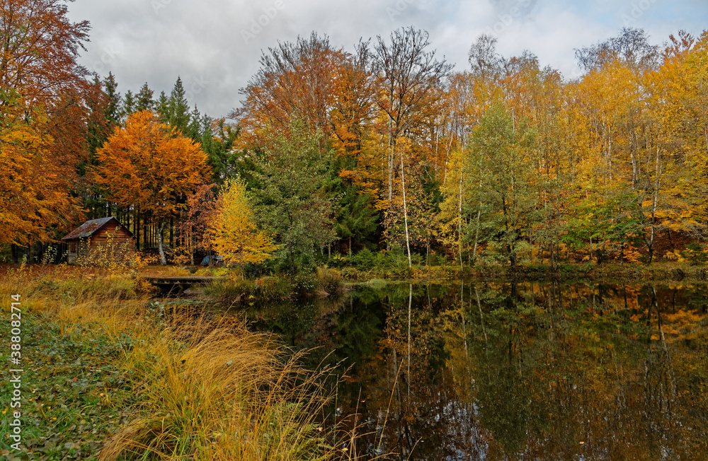 l'automne  aux mille étangs