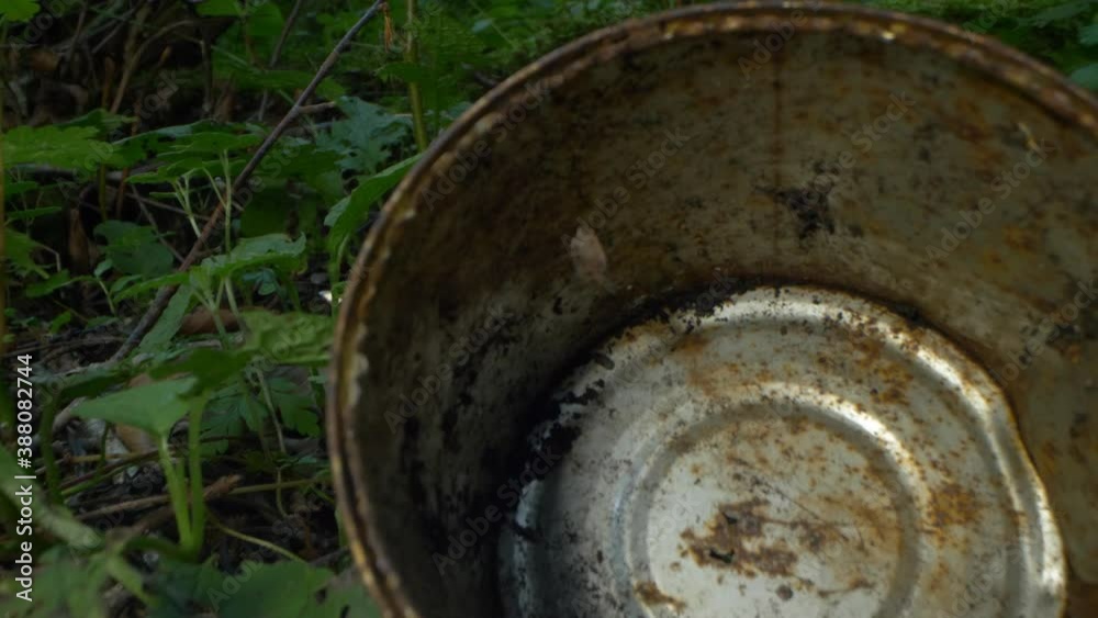 close-up. tin can on the grass in the forest. environmental pollution problems. close-up. tin can on the grass in the forest. environmental pollution problems.