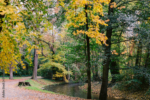 Waldweg am Fluss im Herbst