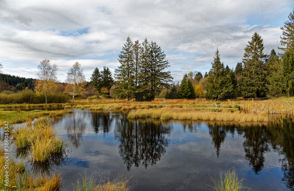 étang tourbière des Vosges en automne