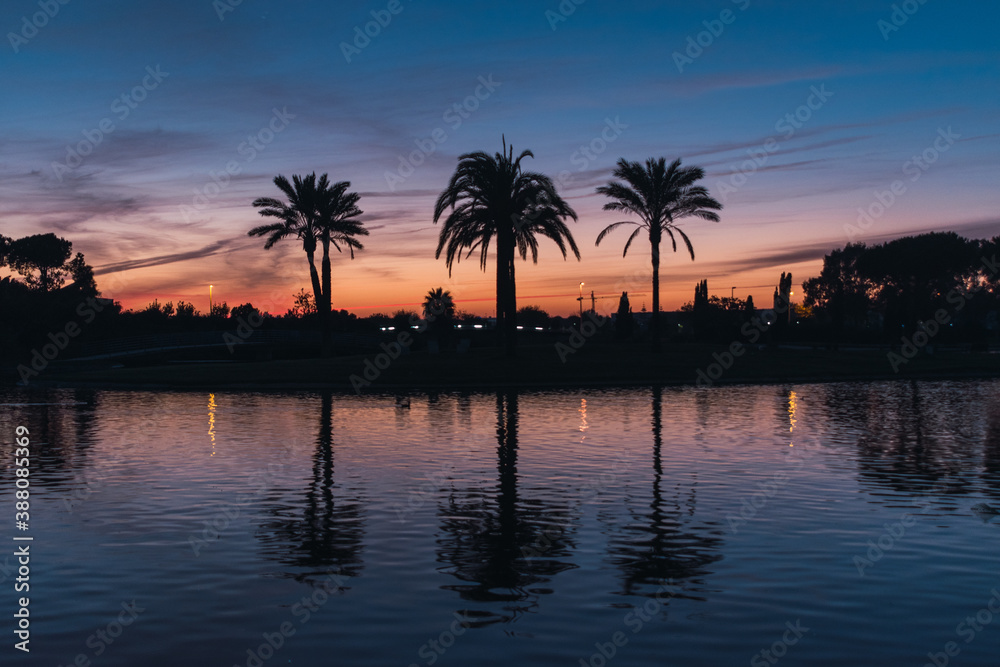 Sunset blue hour over a lake with palm trees