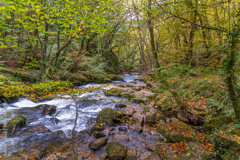 The view downstream at Golitha Falls, Cornwall in autumn