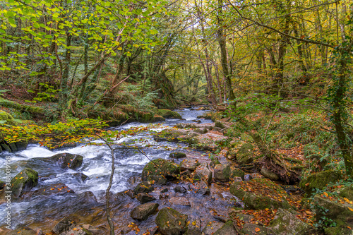 The view downstream at Golitha Falls  Cornwall in autumn