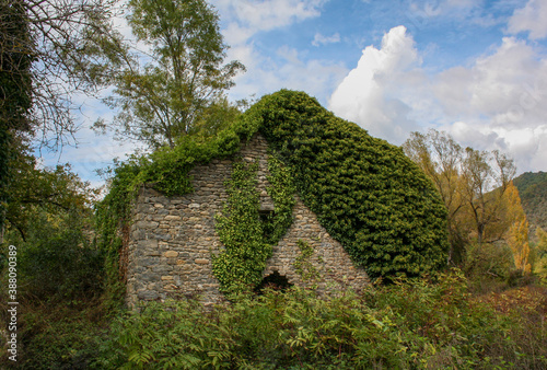 Abandoned stone house in a ghost town completely covered by vegetation, on a day with blue sky and white clouds