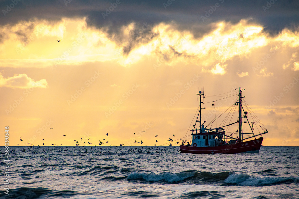 Naklejka premium Fischkutter mit Möwen